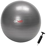 ONWAY 1 x Gymnastikball mit Pumpe Fitnessball 55 cm Durchmesser grau OFA1021-55PP