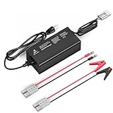 Automatisches Erhaltungsbatterie-Ladegerät 12 V 20 Amp Lithium-Batterieladegerät (12 V 20 A)