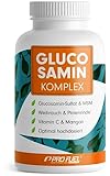 Glucosamin Komplex hochdosiert, 120 Kapseln, Hochwertige Matrix mit Glucosamin, Weihrauch, MSM,...