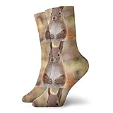 IUBBKI Squirrel Herren Comfort Cool Crew Socken, vermeidet Schweiß, geruchsfrei, schnell trocknende...