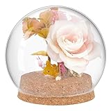 PH PandaHall Glaskuppel mit Sockel Glas Cloche Globe Display Kuppel Dekorative Glasvitrine für...