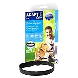 ADAPTIL® Calm Halsband für kleine Hunde | Erziehungshalsband Hund | Halsumfang bis 37,5cm, 1...