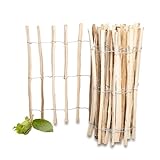 PINEEA Staketenzaun 90 cm Hoch und 500cm Lang - Holzzaun Perfekt als Gartenzaun - Haselnusszaun...
