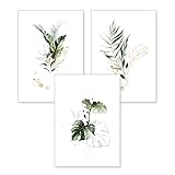 3-teiliges Premium Poster-Set | Kunstdruck | Botanik grün | Blätter | Deko Bild für Ihre Wand |...
