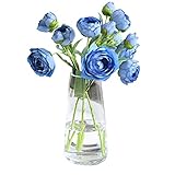 DRERIO Vase für Blumen Klarglasvase transparent ins Moderne Glasvase hoch, Dekor, modern für...