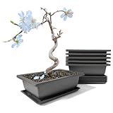 maiple 6 Stück Bonsai Trainingsschalen, 23x17x8cm, rechteckige Bonsaitöpfe aus Kunststoff mit...