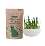 Premium Katzengras Samen 200 Gramm ausreichend für ca. 80 Töpfchen frisches Katzengras in 8-14...