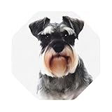 BEDEUU Untersetzer mit Schnauzer-Motiv, bedrucktes Leder-Untersetzer-Set mit lustigem Untersetzer,...