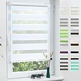 Grandekor Doppelrollo Klemmfix ohne Bohren Weiß 90x120cm(Stoffbreite 86cm) Fenster Rollos für...