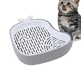 Hydrokultur-Katzengras Soilless-Sprossentablett – Belüfteter Pflanzkübel mit Abfluss |...