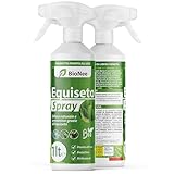 Schachtelhalmspray 1 l | gebrauchsfertig | vorbeugender natürlicher Schutz | Abwehr gegen Mehltau...