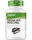 vit4ever Grünlippmuschel - 365 Kapseln mit je 600 mg - Premium: Mit Glycosaminoglykane -...
