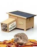 zooprinz Igelhaus Winterfest mit Boden – sicheres Outdoor Igelhotel für den Garten, wetterfestes...