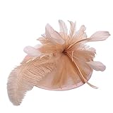 Hut Feder Netz Fascinator Party Hüte Blume Kopfschmuck 50s Headwear with Veil Flower Hochzeit Blume...