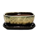 Bonsai-Schale mit Unterteller Gr. 3 - Braun-Beige - rechteckig - Modell GB5 - L 21,5cm - B 17cm - H...