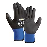 texxor 72 Stück Winterhandschuhe 2272, blau-schwarz, 10/XL, Karton