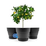 BigDean 3 Stück Blumentopf mit Untersetzer rund ø47 cm in Anthrazit – Übertopf innen + außen...