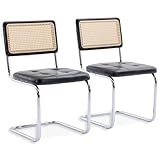SEEDWAVE 2er-Set Freischwinger Stühle im Vintage-Stil – Esszimmerstühle mit Rattan Rückenlehne...