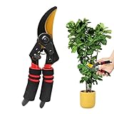 Gardenslicer Pro Hochleistungs-gartenschere, Gartenscheren, Gartenscheren, Scheren Für...