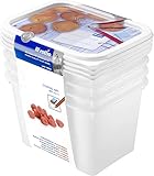 Rotho Domino 4er-Set Gefrierdose 1l mit beschreibbarem Motiv auf dem Deckel, lebensmittelechter...