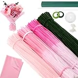 DaisyInner Pfeifenreiniger-Bastelset, 860-teilig, 4 verschiedene Farbverlaufsfarben, Chenille-Stiele...
