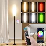 FRIDEKO HOME Stehlampe Wohnzimmer Modern,LED Standleuchte RGB Dimmbar,Stehlampe mit Fernbedienung...