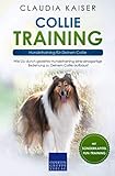 Collie Training – Hundetraining für Deinen Collie: Wie Du durch gezieltes Hundetraining eine...