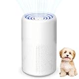 Luftreiniger Allergiker mit Aktivkohlefilter USB Tragbar HEPA Filter 5W Geräuscharm Für Tierhaare...