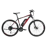 Fischer E-Mountainbike, MONTIS EM 1726 E-Bike MTB für Damen und Herren, RH 48 cm, Hinterradmotor 45...