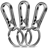 3 Stück Karabiner Schlüsselanhänger,Caianwin Karabinerhaken Klein Metall...