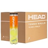 HEAD Radical Box - 4B X 18 Dosen (72 Bälle)