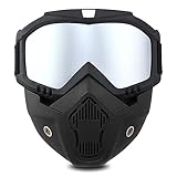 TAIZER Motorradbrille Abnehmbare Motorrad Schutzbrille Staubschutz Brille Abnehmbaren Gesichtsmaske...