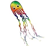 CIM Oktopus Drachen - Krake DRAKI Rainbow - Einleiner für Kinder ab 3 Jahren - Abmessung: 25x160cm...