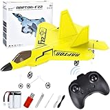 JONRRYIN Ferngesteuertes F-22 Flugzeug, Schaumstoff RC-Modell Mit LED-Licht, Leicht Für Kinder Und...