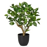 Briful 43CM Kunstpflanze Wie Echt Künstliche Ficus Pflanzen in Schwarzem Topf Dekopflanze für...