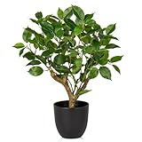 Briful 43CM Kunstpflanze Wie Echt Künstliche Ficus Pflanzen in Schwarzem Topf Dekopflanze für...