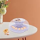 Brutautomat Inkubator Brutapparat FläChenbrüTer BrüTer Automatische 12Eier EierbrüTe...