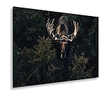 deyoli Leinwandbild Majestätischer Elch im Schatten des Waldes Format: 100x70cm XXL Kunstdruck Bild...
