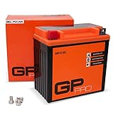 GP-PRO GB9-B 12V 9Ah GEL-Batterie (Kompatibel mit YB9-B / 50914) (Wartungsfrei & Versiegelt)...