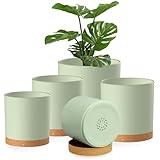 Homeuouz 5 Packs Blumentopf mit Untersetzer, 17.8/15.2/14/12.7/10.2cm Pflanzentopf, Plastik...