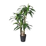 HTT Decorations - künstliche Pflanzen - Dracaena/Drachenbaum - in - 135 - Grünpflanze - im Topf -...