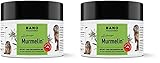 Arlberger Murmelin Sport und Gelenksalbe I Original Murmeltiersalbe I MADE IN AUSTRIA I mit...