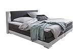 Dynamic24 Boxspringbett 180 x 200cm LED grauweiß Kunstleder Doppelbett Ehebett