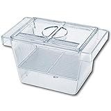 Amtra Laichraum - 3 in 1 Aquarienfischzuchtbecken mit Deckel, schwimmend, transparent, 12 x 6 x 6 cm