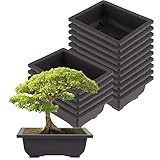 ZEONHEI 15 Stück Groß Bonsai Trainingstöpfe, 22,5x16,5x7,5cm Pflanzen Anbau Kunststoff Bonsai...