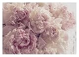 WallArena - Vlies Fototapete Blumen Pfingstrose Romantisch Rosa Rosen 368x254 cm - Fototapeten -...