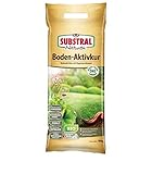 Substral Naturen Bio Bodenaktivkur, natürlicher Bodenaktivator und -verbesserer für Garten- und...