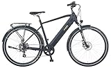 Prophete Entdecker 2.0 Trekking E-Bike 28 Zoll - 360 Wh - Integrierter Akku - Heckmotor - 8-Gang...