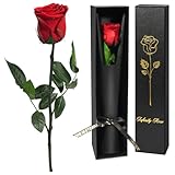 Yamonic Infinity Rose mit Stiel Geschenke für Frauen,Echte Rose Geburtstagsgeschenk für Frauen,...