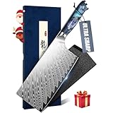 DRAGON RIOT Hackmesser Küche, Scharfes Küchenbeil mit Scheide, Profi Hackbeil Edelstahl...